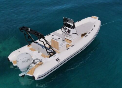 Private Speed Boat 4 Hours Dolphin