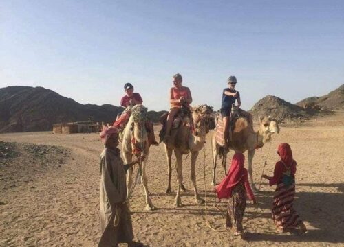 Family Safari 5 Hours