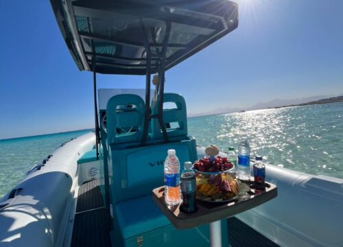 Private Speed Boat 4 Hours Dolphin