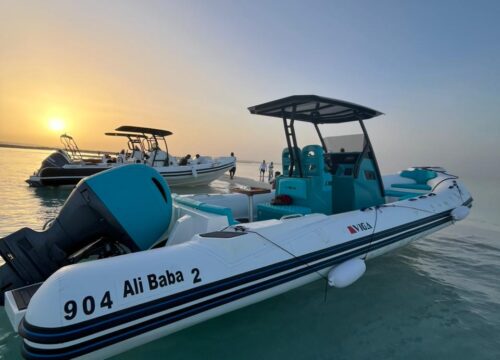 Private Speed Boat 4 Hours Island.